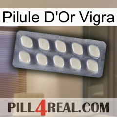 Vigra Gold Pill 08